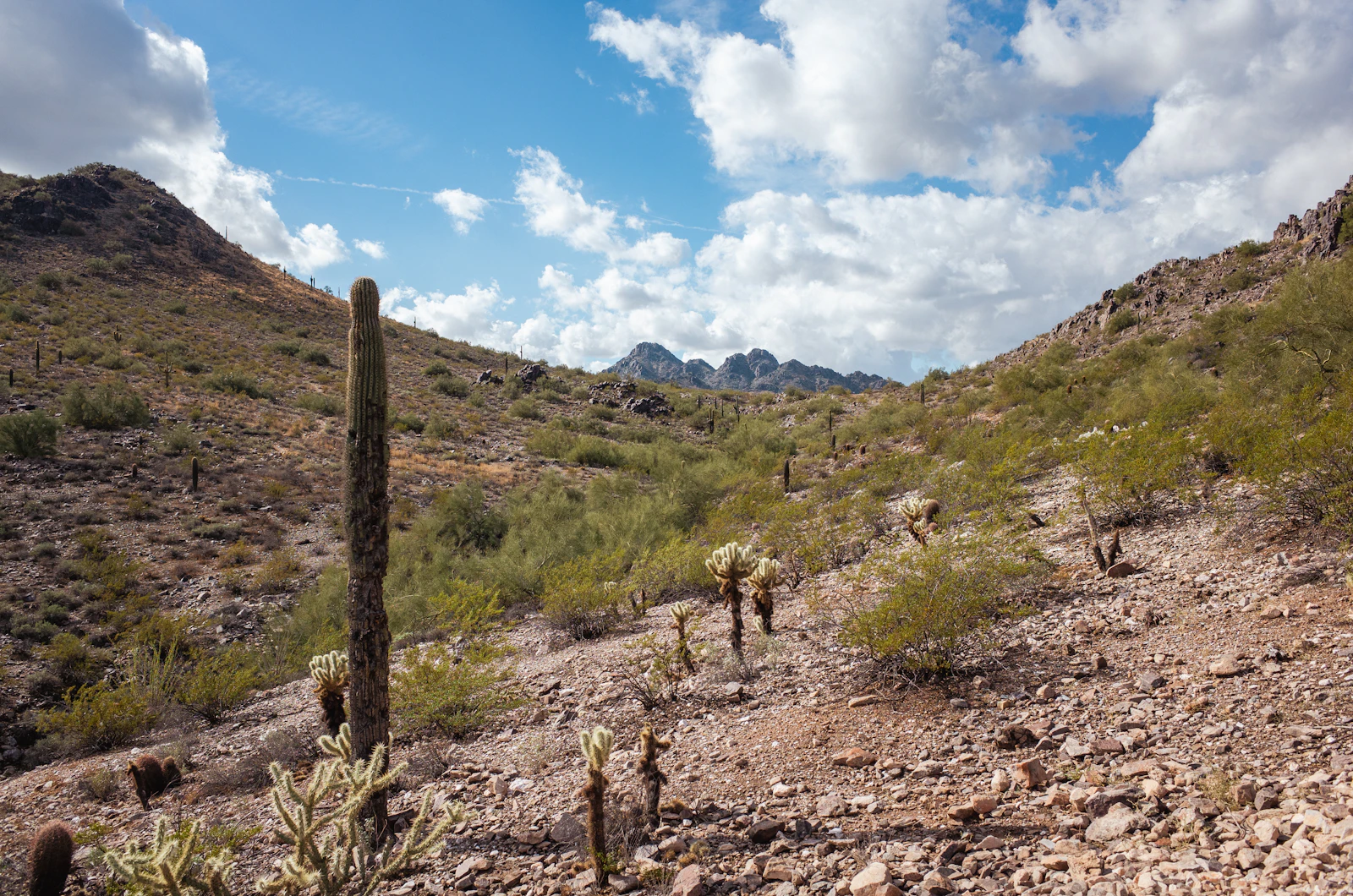 Scottsdale, Arizona photo 22 by Kody Goodson