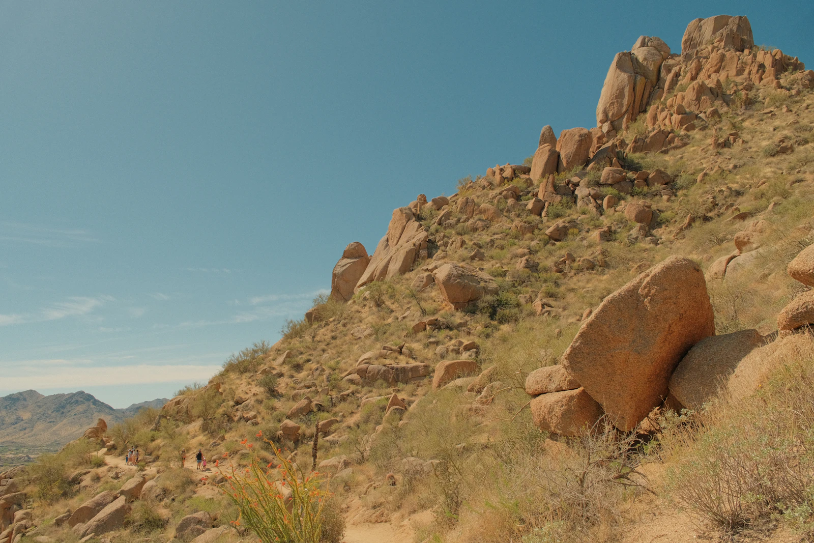 Scottsdale, Arizona photo 18 by Kaden Taylor