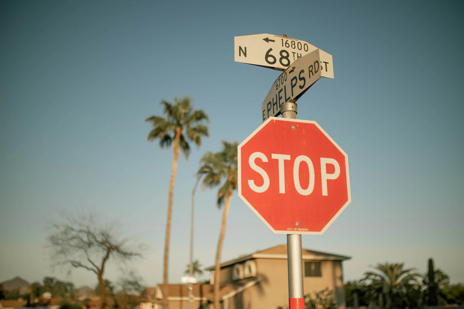 Scottsdale, Arizona photo 15 by Troy Spoelma