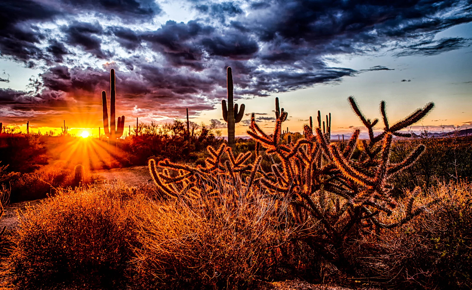 Scottsdale, Arizona photo 27 by Robert Murray