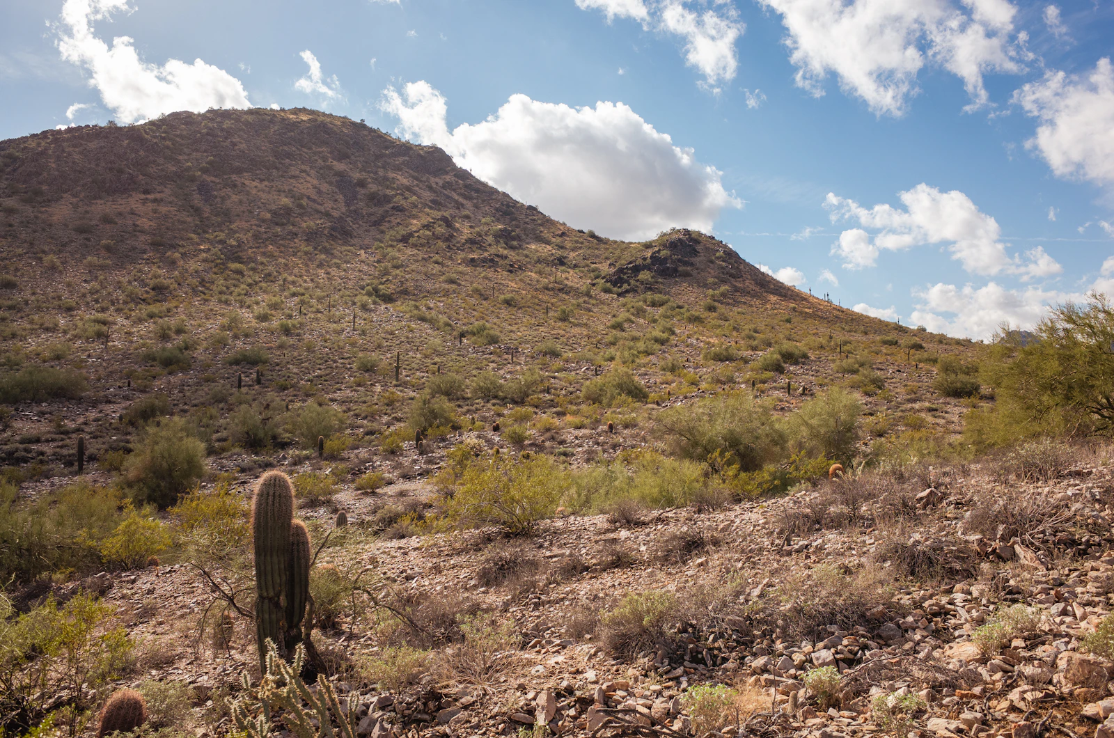 Scottsdale, Arizona photo 12 by Kody Goodson