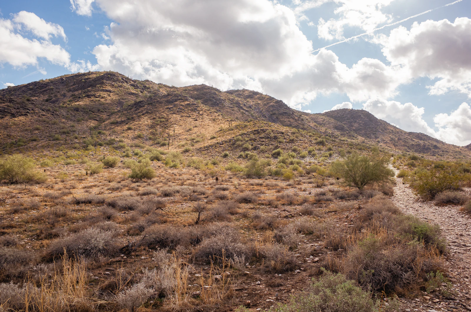 Scottsdale, Arizona photo 23 by Kody Goodson