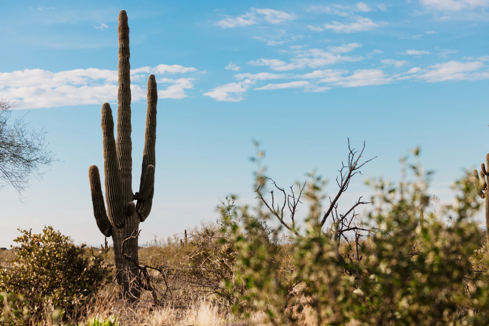 Scottsdale, Arizona photo 4 by Danielle Higgins