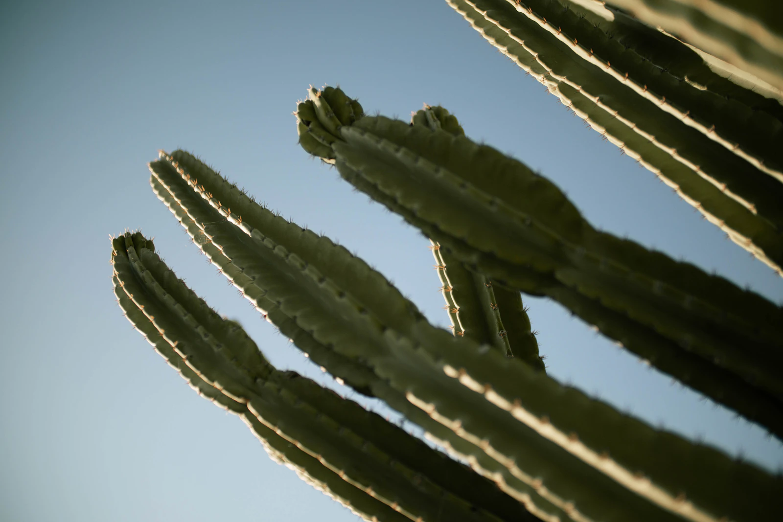 Scottsdale, Arizona photo 13 by Troy Spoelma