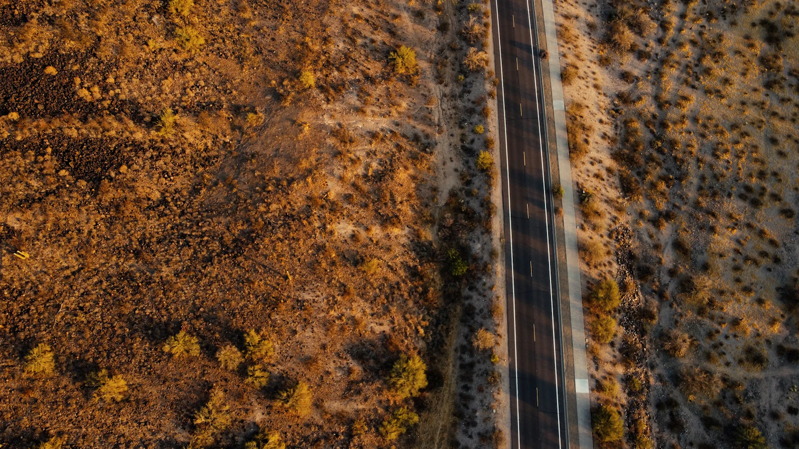 Scottsdale, Arizona photo 29 by Connor Anderson