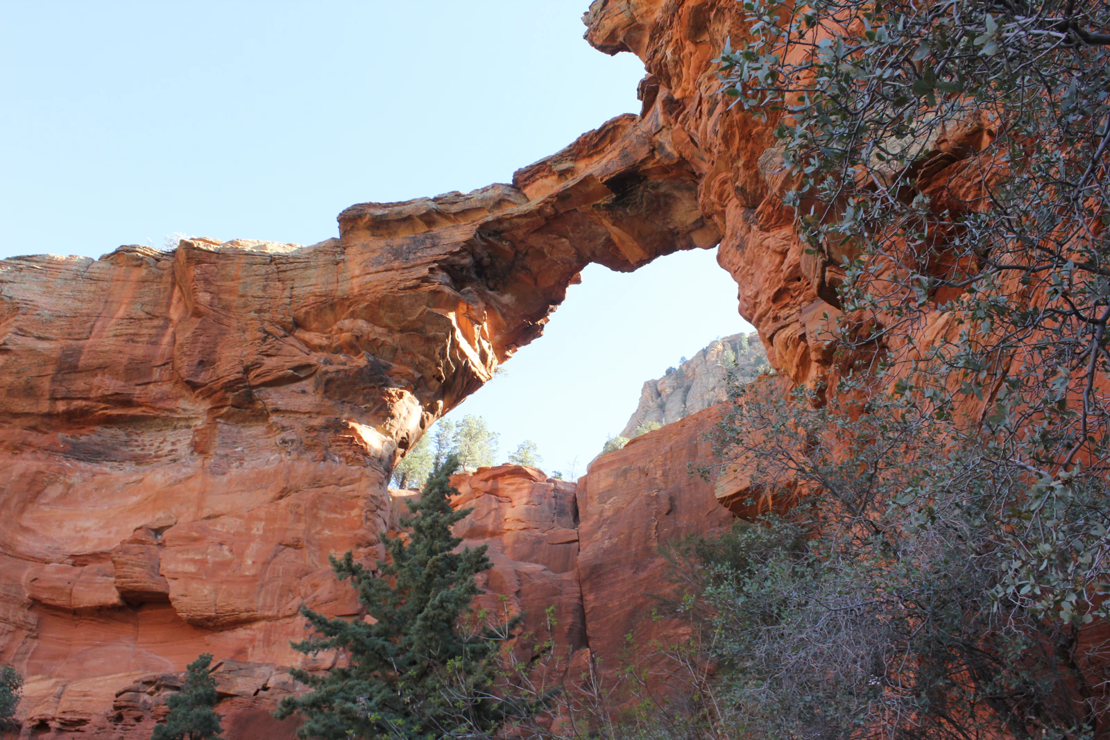 Sedona, Arizona photo 12 by Leslie Cross