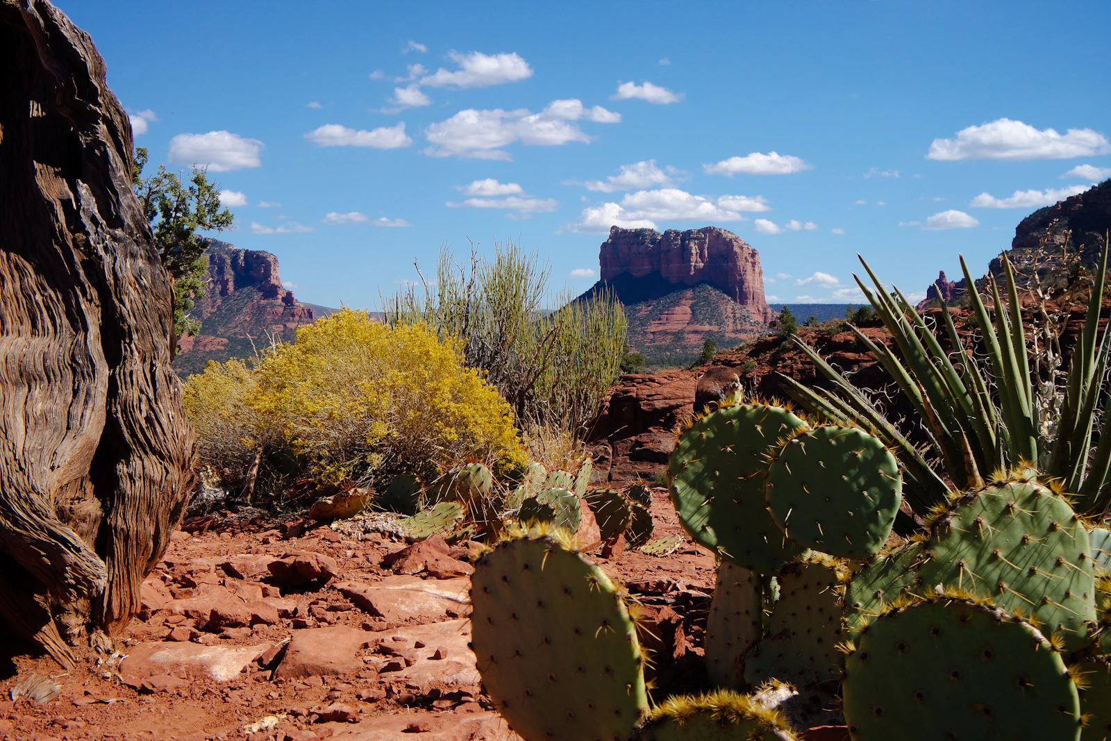Sedona, Arizona photo 15 by Michaela