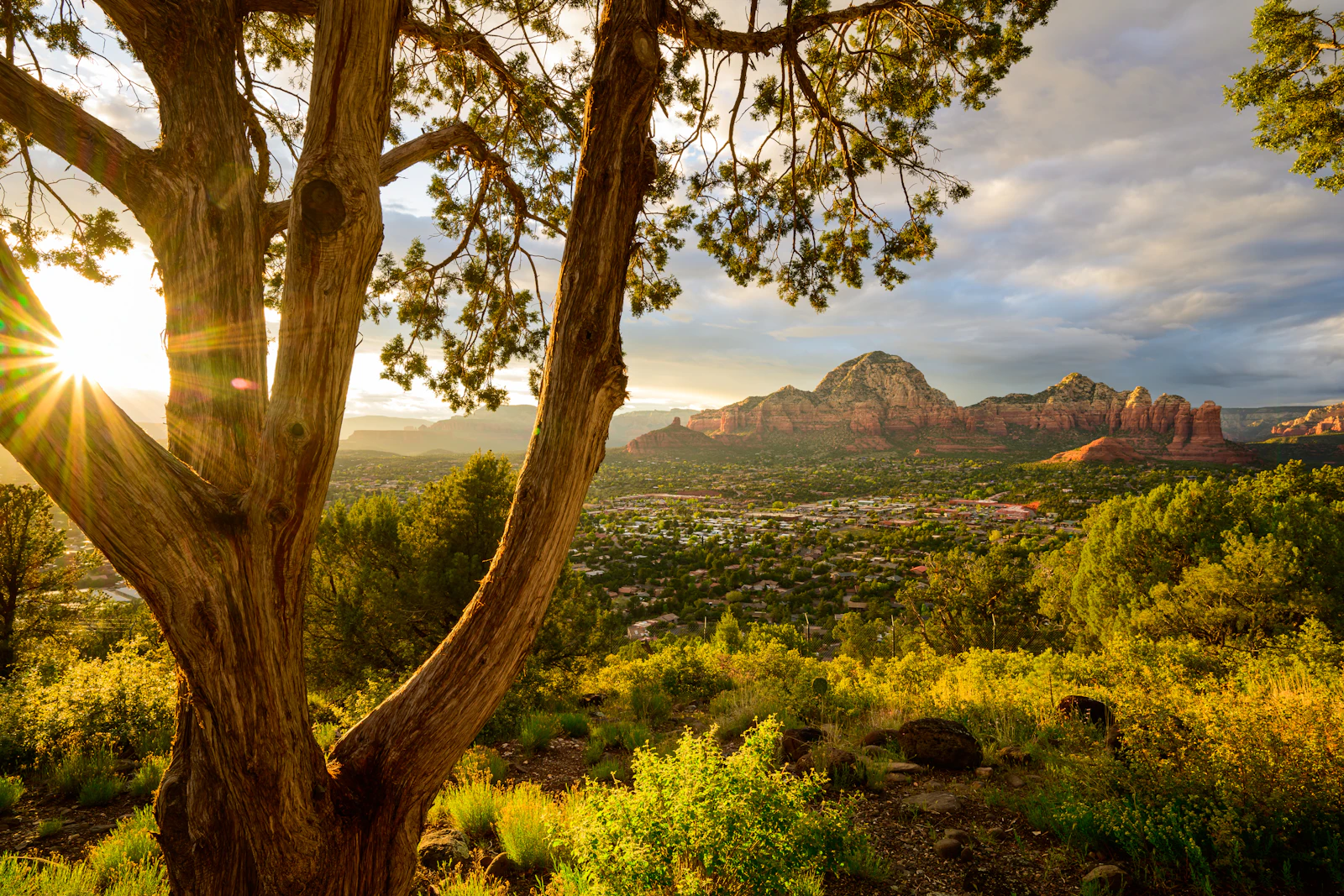 Sedona, Arizona photo 14 by Vlad D