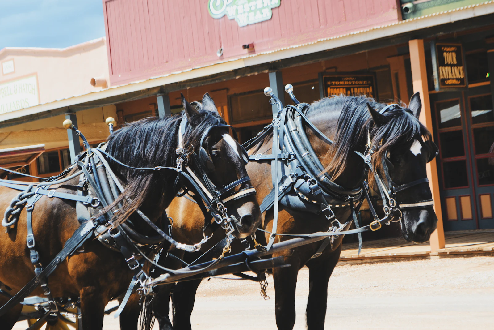 Tombstone, Arizona photo 3 by Ruth Bourke