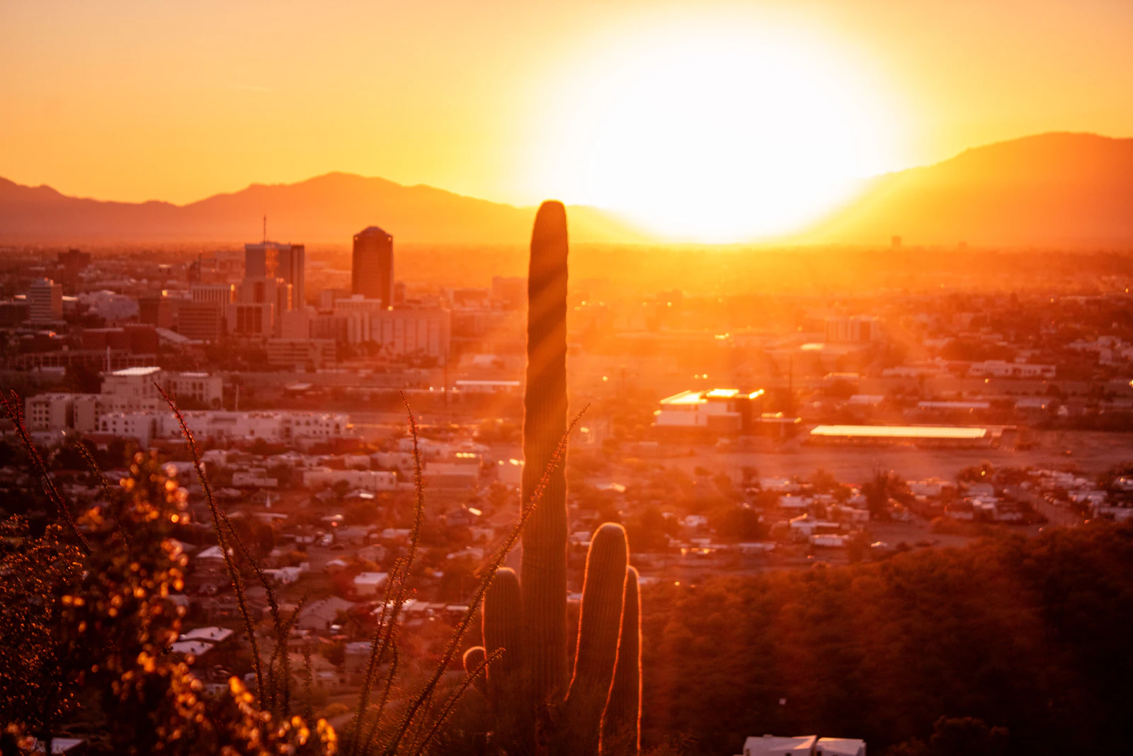 Tucson, Arizona photo 26 by Daniel Huerta