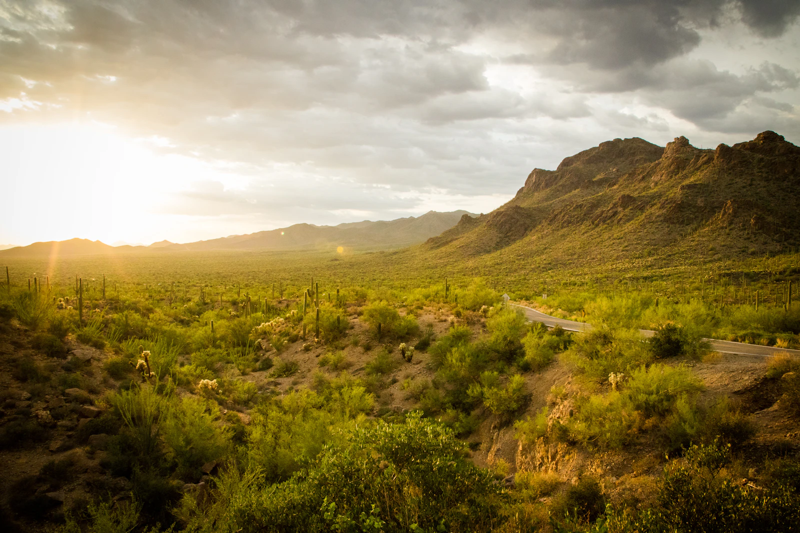 Tucson, Arizona photo 18 by Frankie Lopez