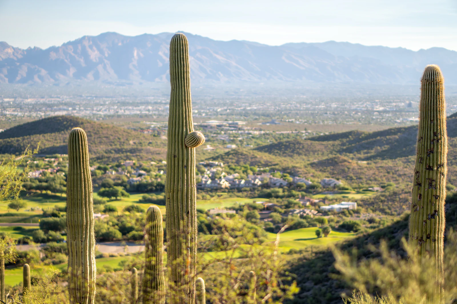 Tucson, Arizona photo 17 by JC Cervantes