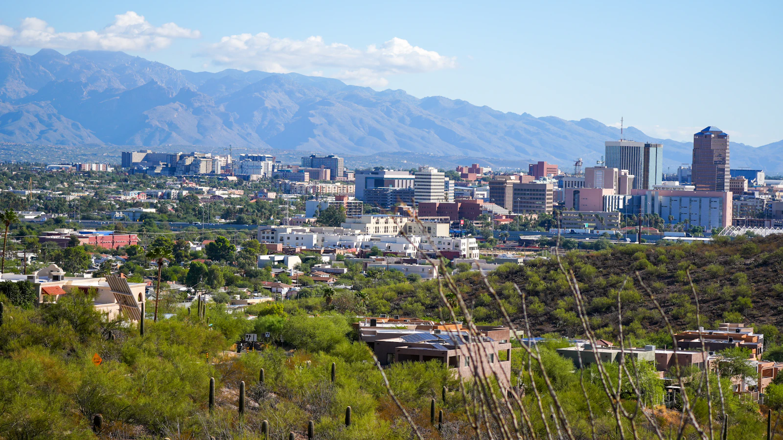 Tucson, Arizona photo 8 by JC Cervantes