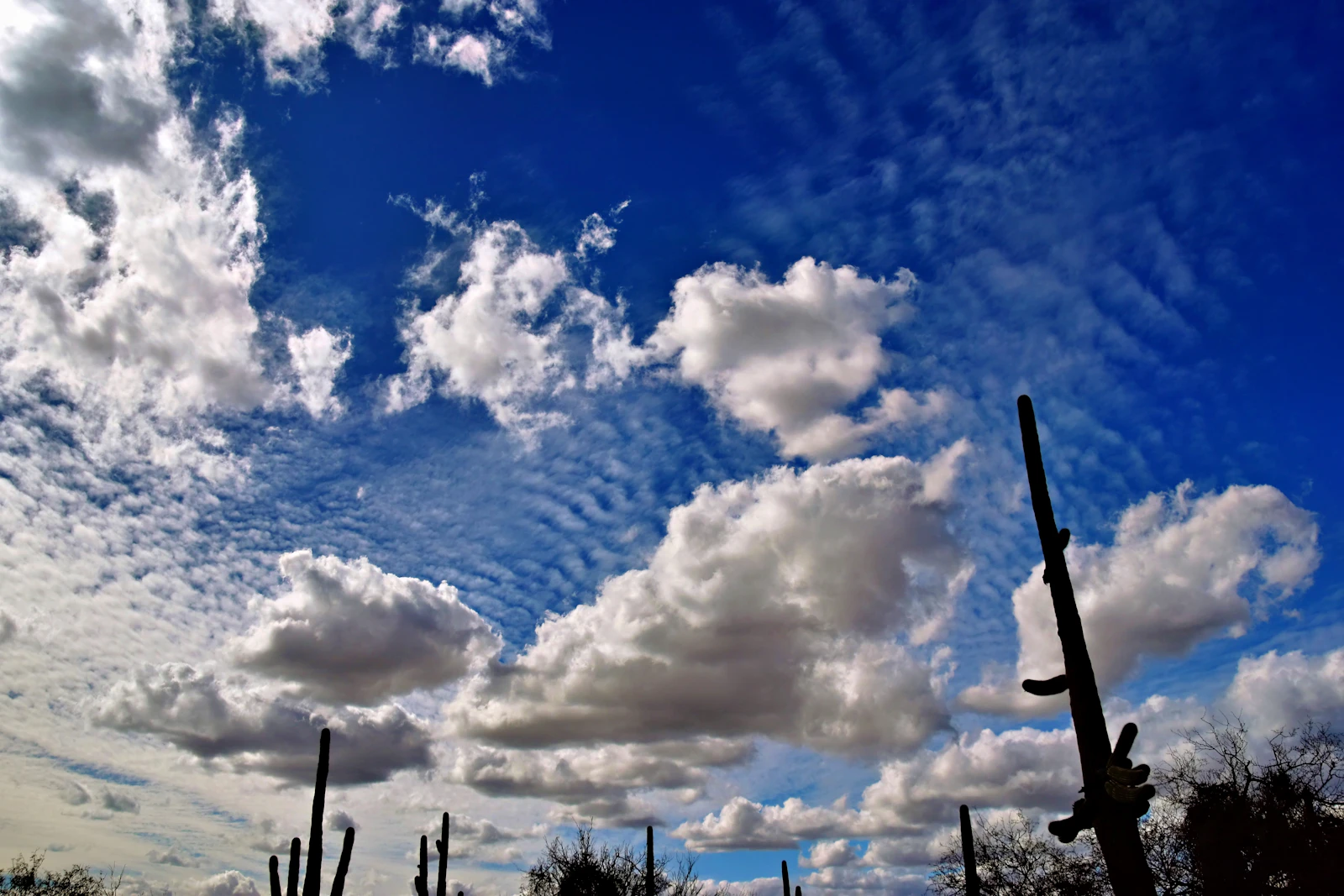 Tucson, Arizona photo 28 by Jeffrey Eisen