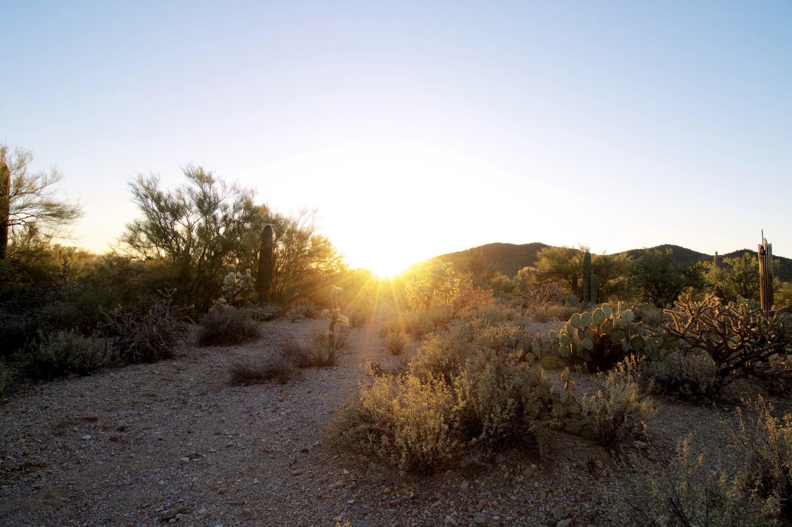 Tucson, Arizona photo 16 by James Lee