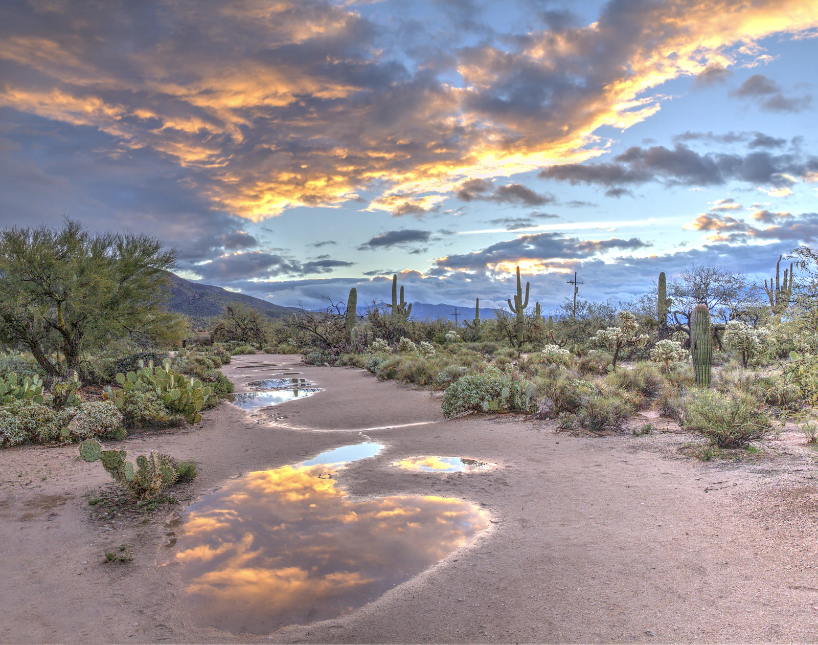 Tucson, Arizona photo 1 by Dulcey Lima
