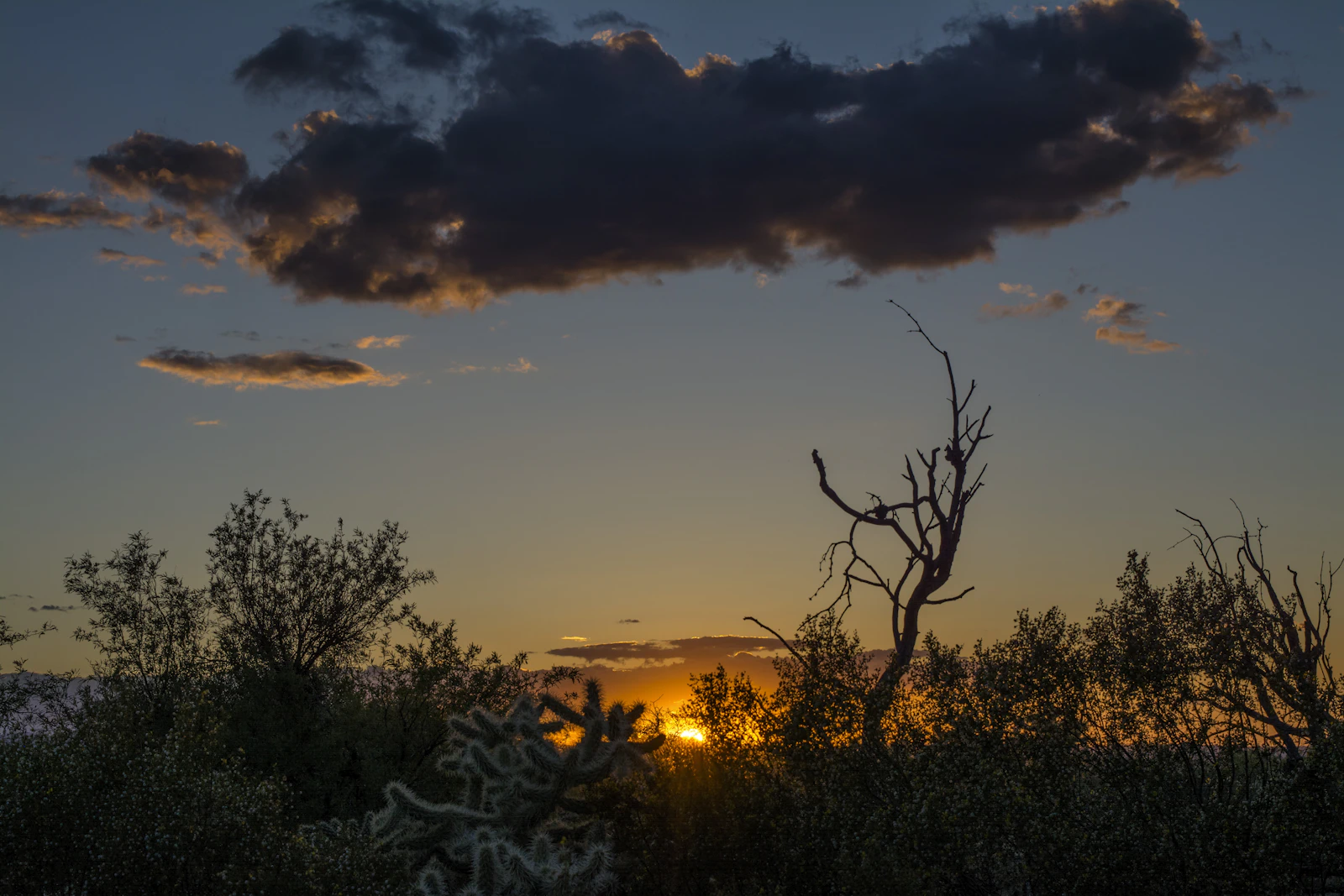 Tucson, Arizona photo 30 by Stan Scott