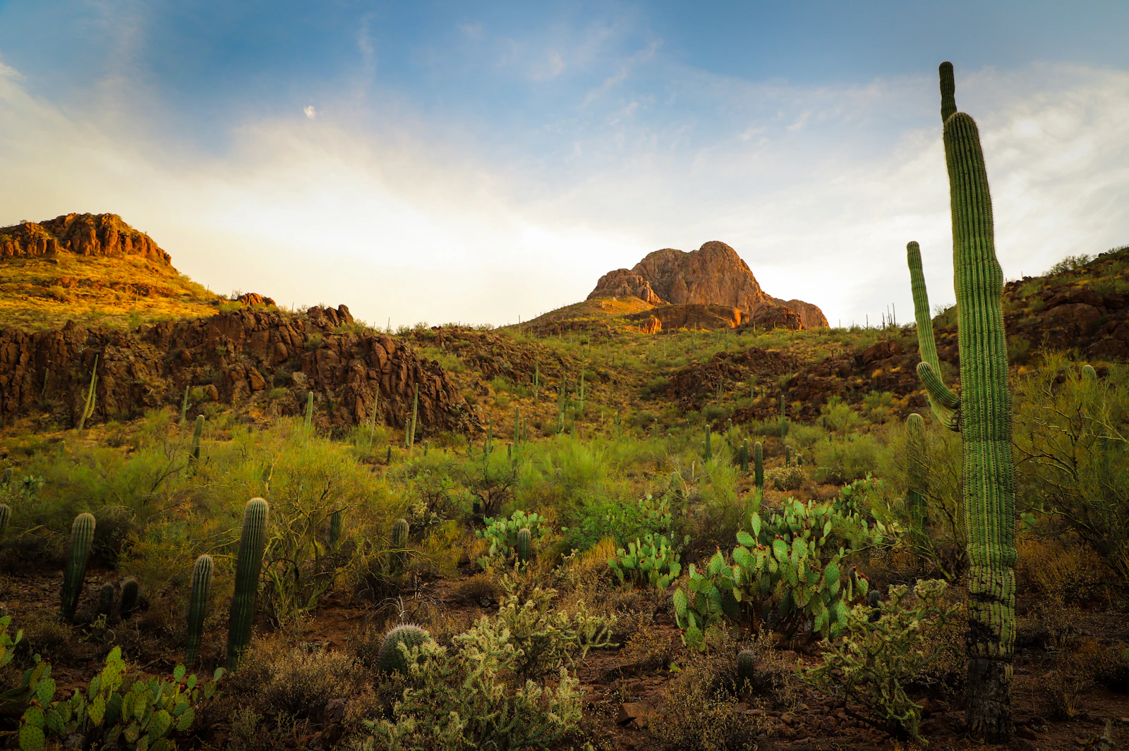 Tucson, Arizona photo 5 by Frankie Lopez