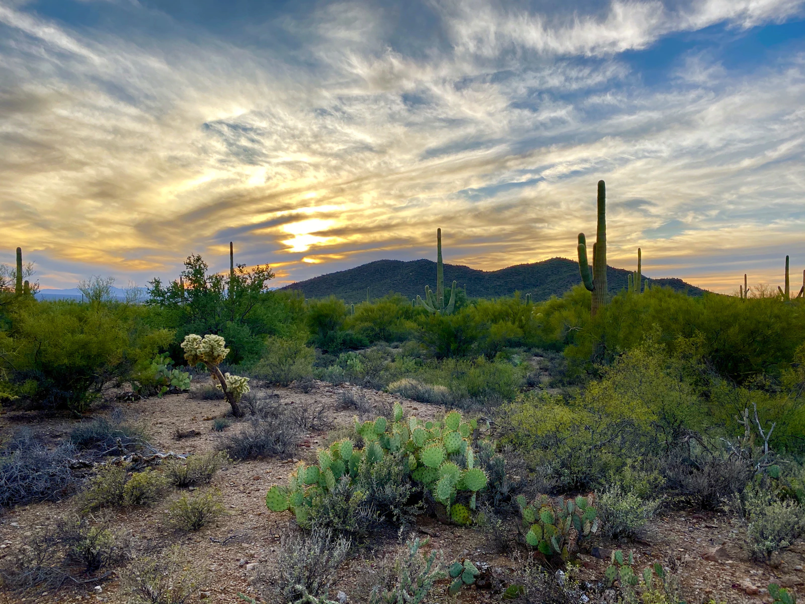 Tucson, Arizona photo 4 by James Lee