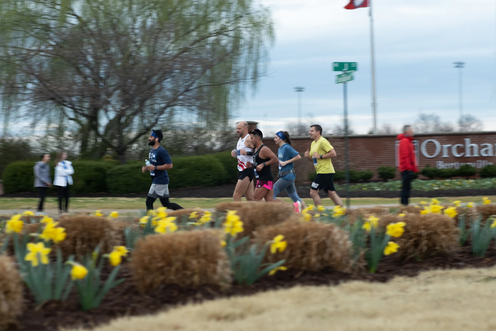 Bentonville, Arkansas photo 19 by Jesse Solomon