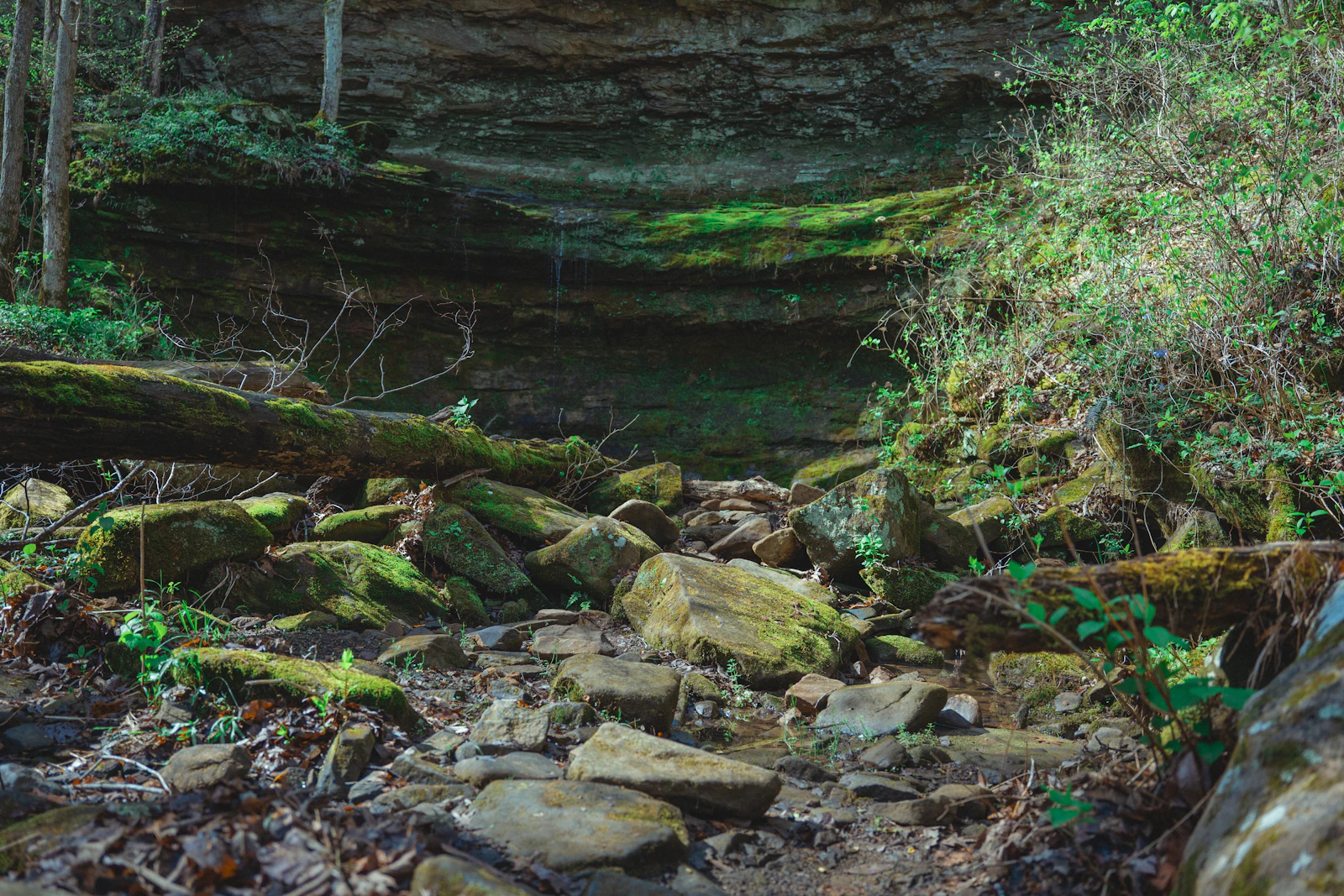 Eureka Springs, Arkansas photo 30 by Brayan Granados