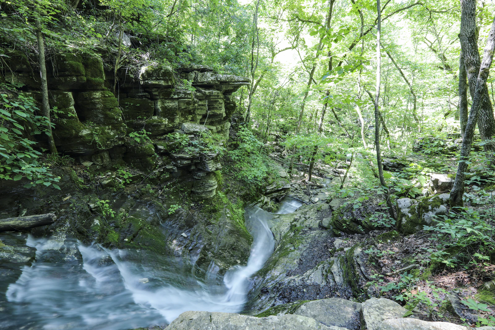 Eureka Springs, Arkansas photo 9 by Mick Haupt