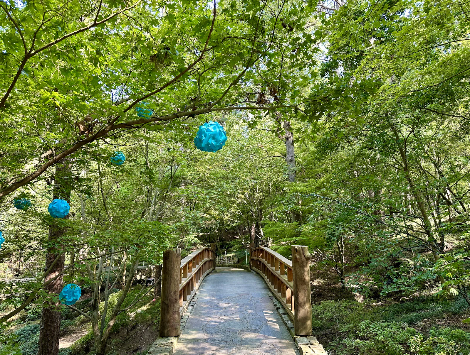 Hot Springs, Arkansas photo 11 by Yash Mannepalli