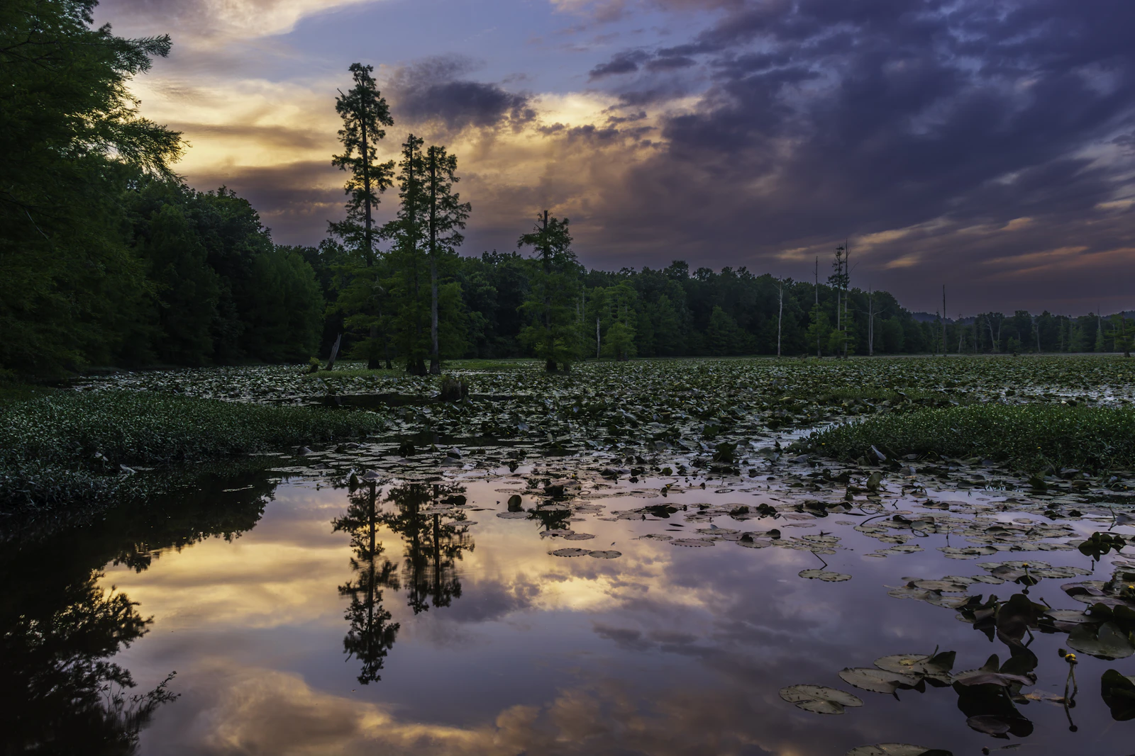 Little Rock, Arkansas photo 28 by Nathan Foster