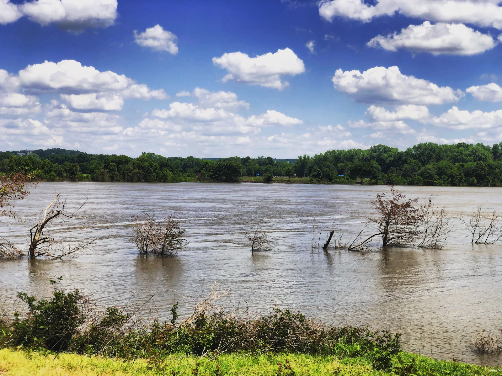 Little Rock, Arkansas photo 8 by David Samuel Levinson