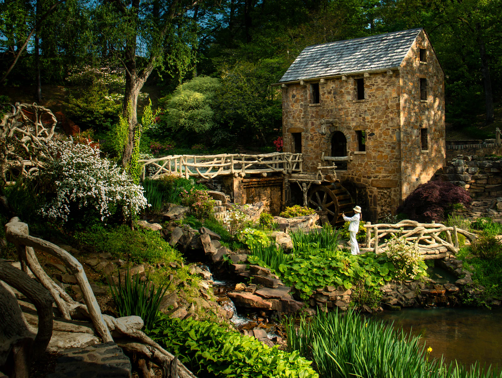 Little Rock, Arkansas photo 29 by Nathan Foster