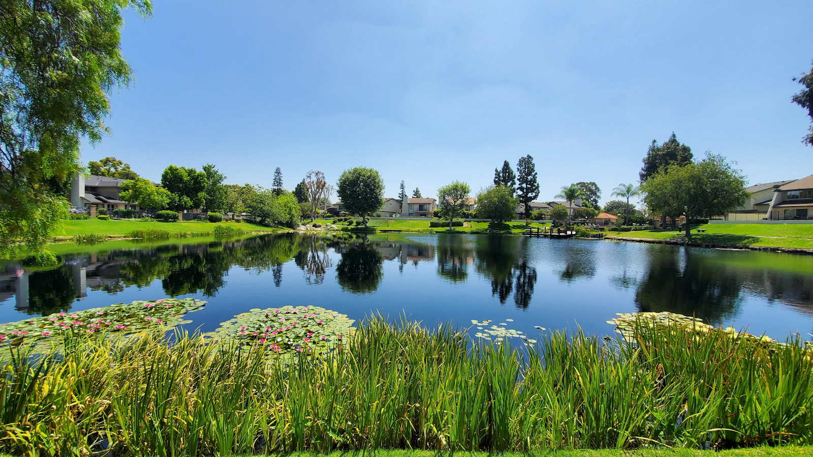 Anaheim, California photo 2 by Ben Gomez
