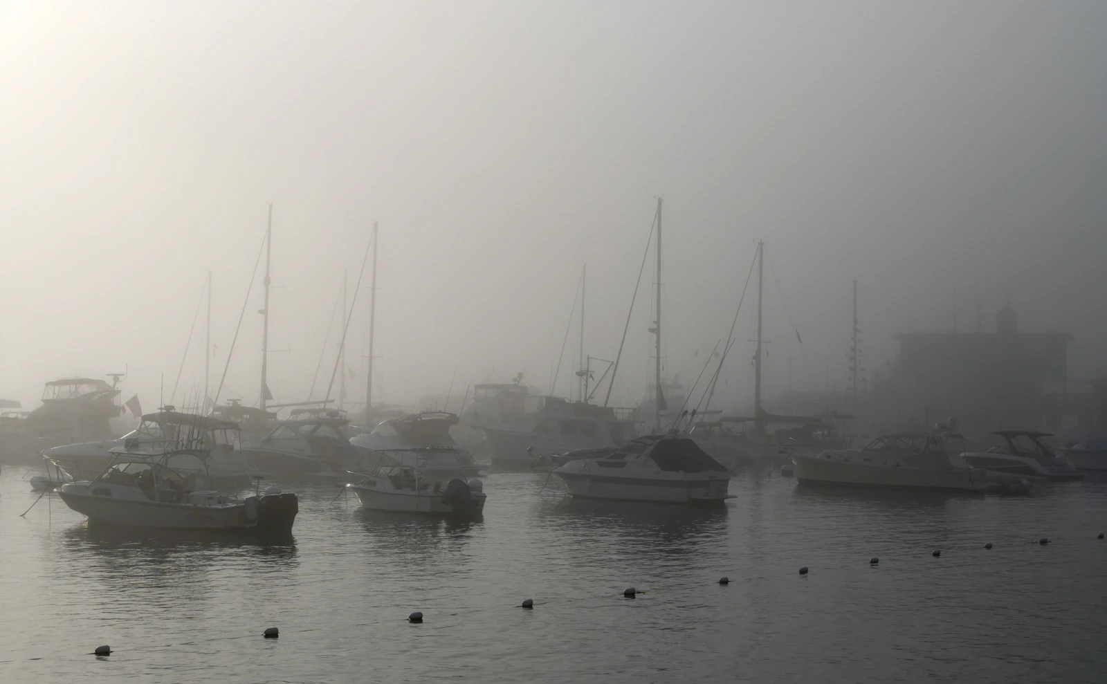 Avalon, California photo 16 by Jim Witkowski