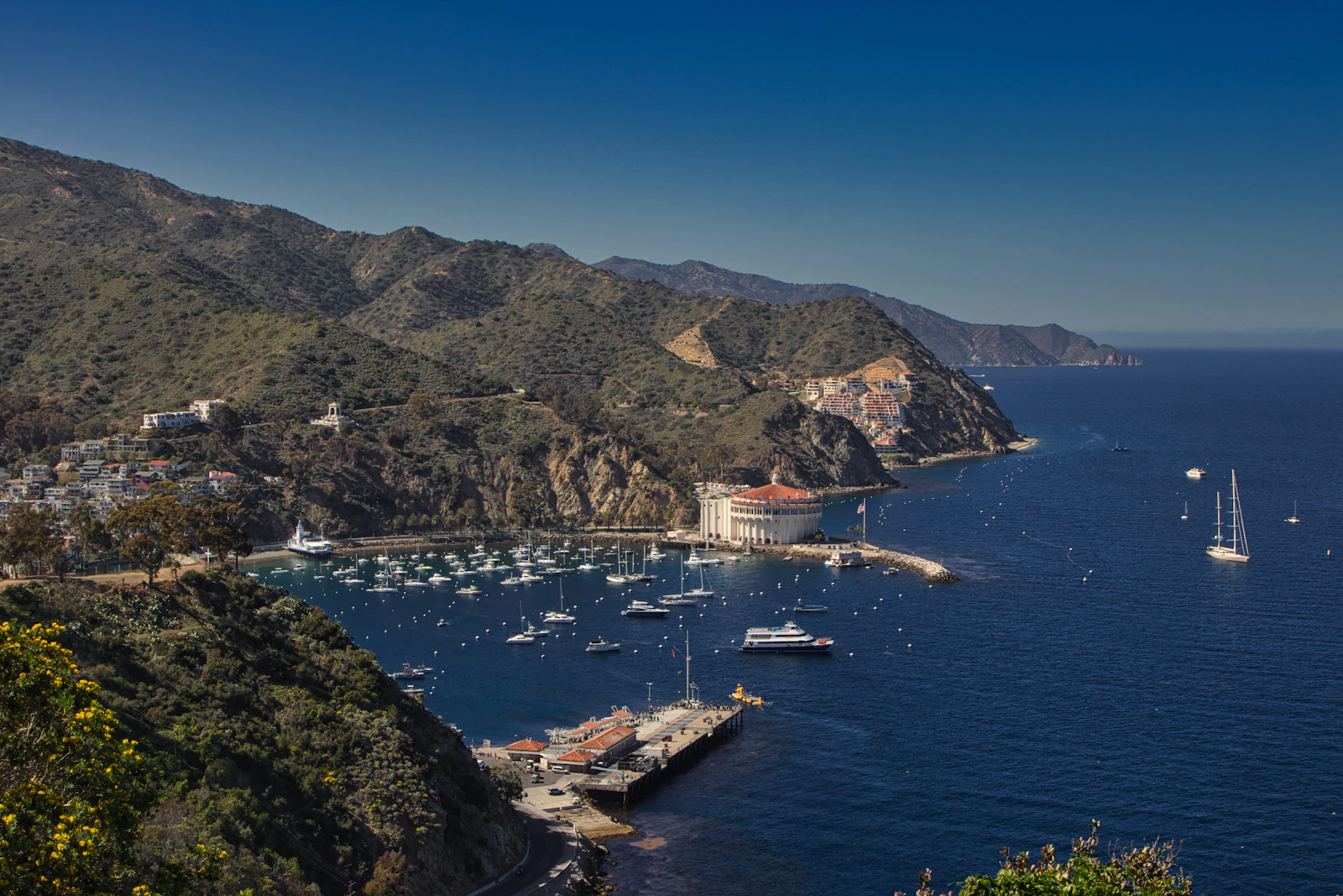 Avalon, California photo 18 by Braden Egli