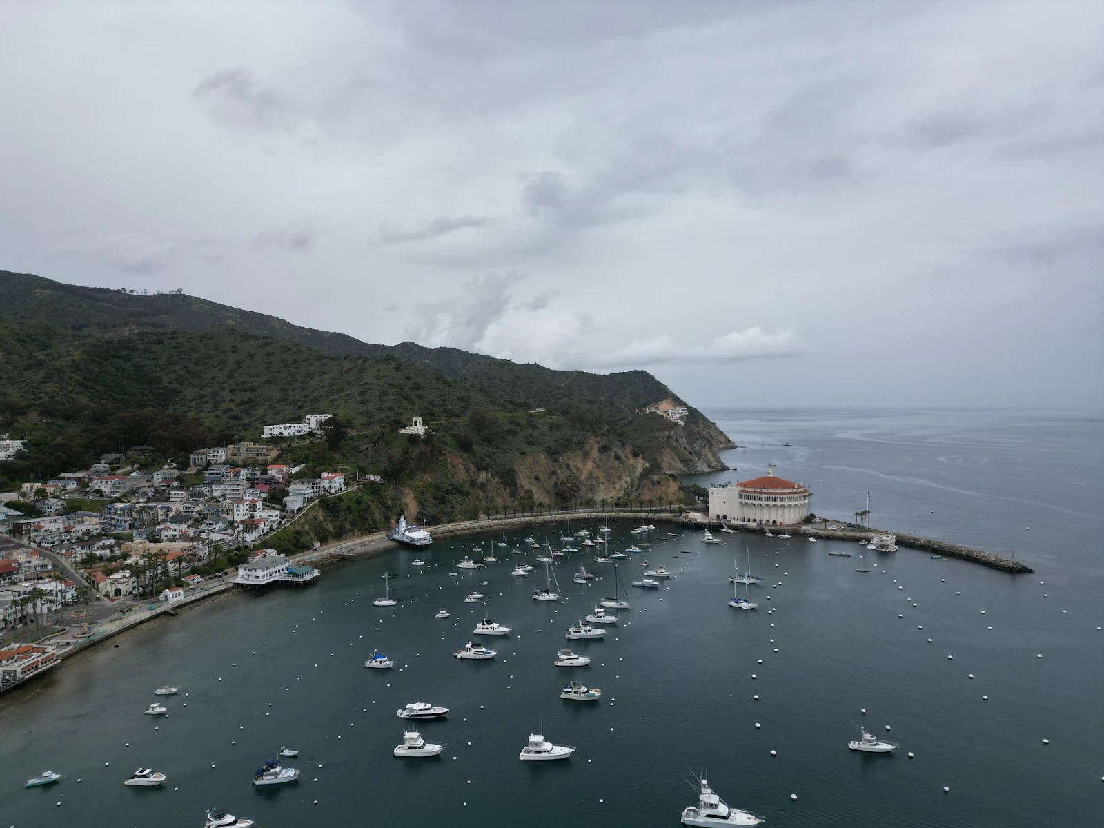 Avalon, California photo 13 by Logan Voss