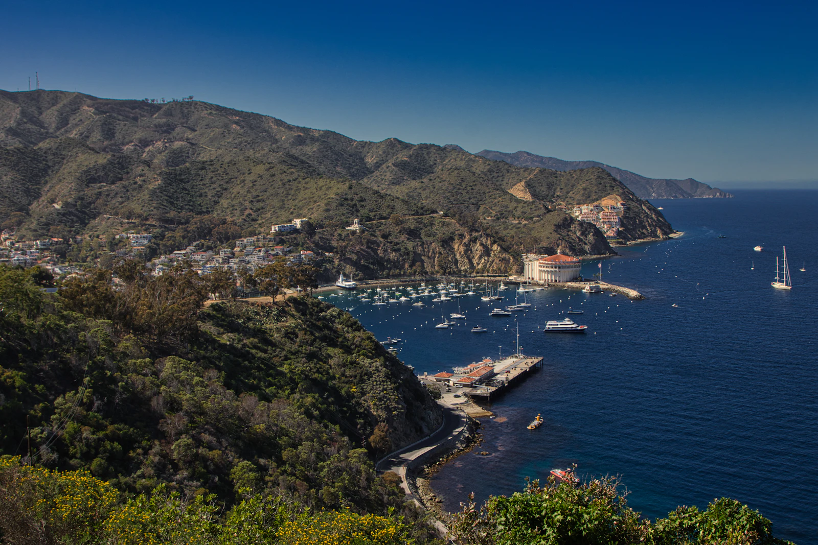 Avalon, California photo 17 by Braden Egli