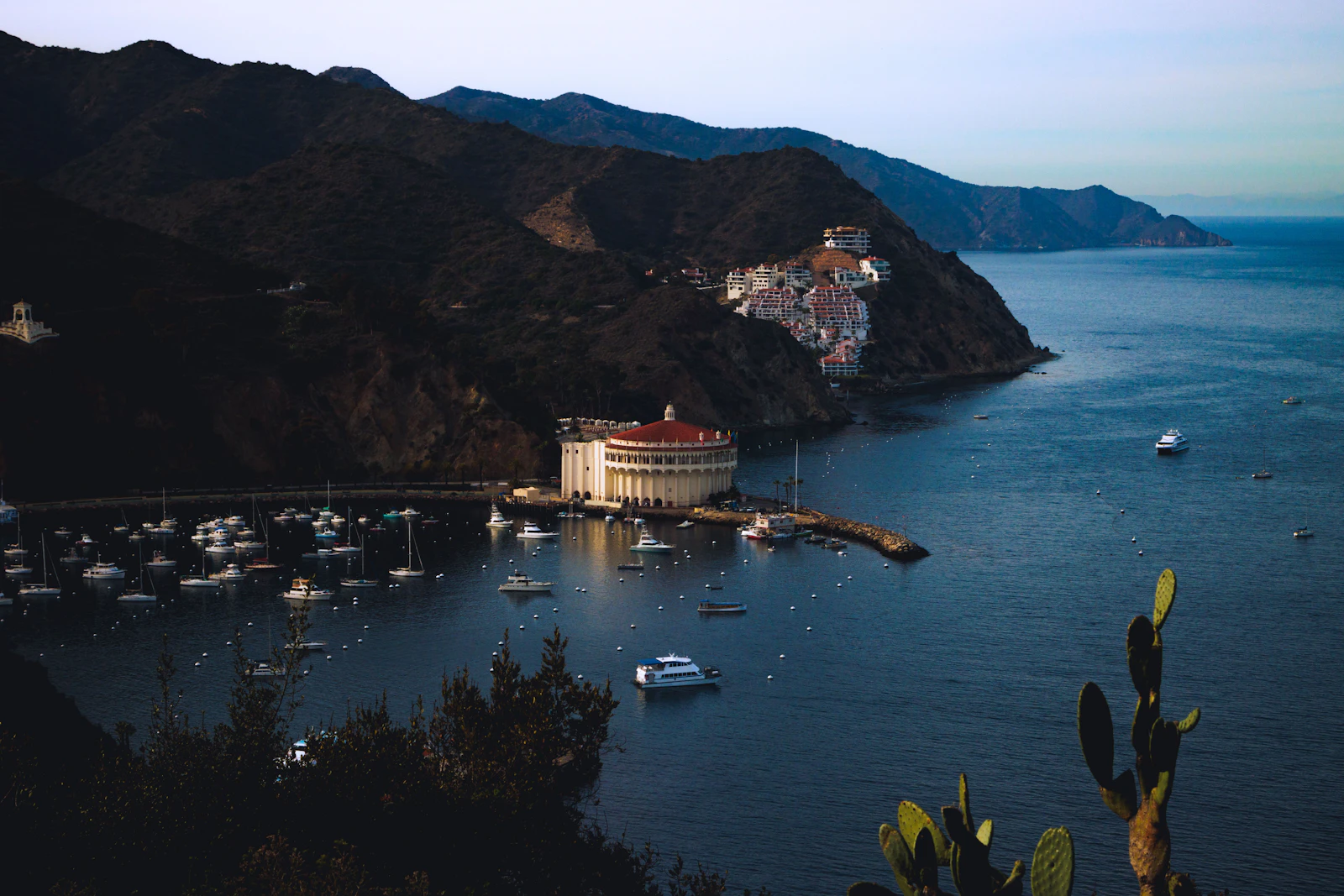 Avalon, California photo 14 by Parker Sturdivant