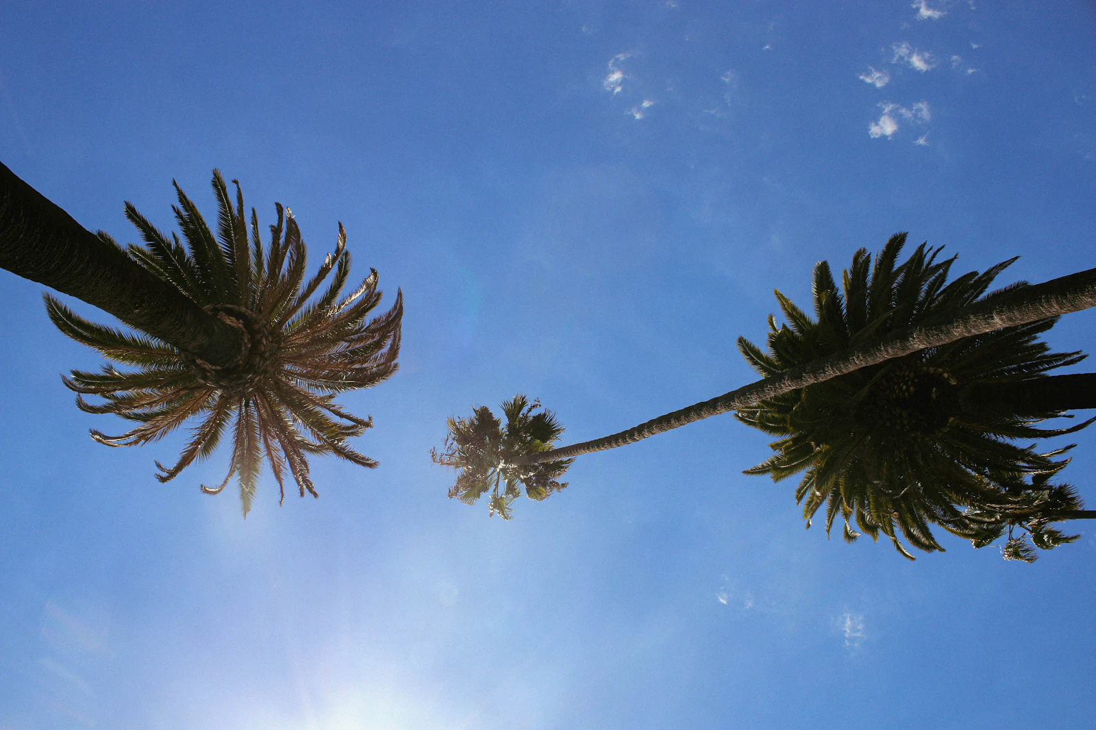 Beverly Hills, California photo 21 by Tjerk van der Heijden