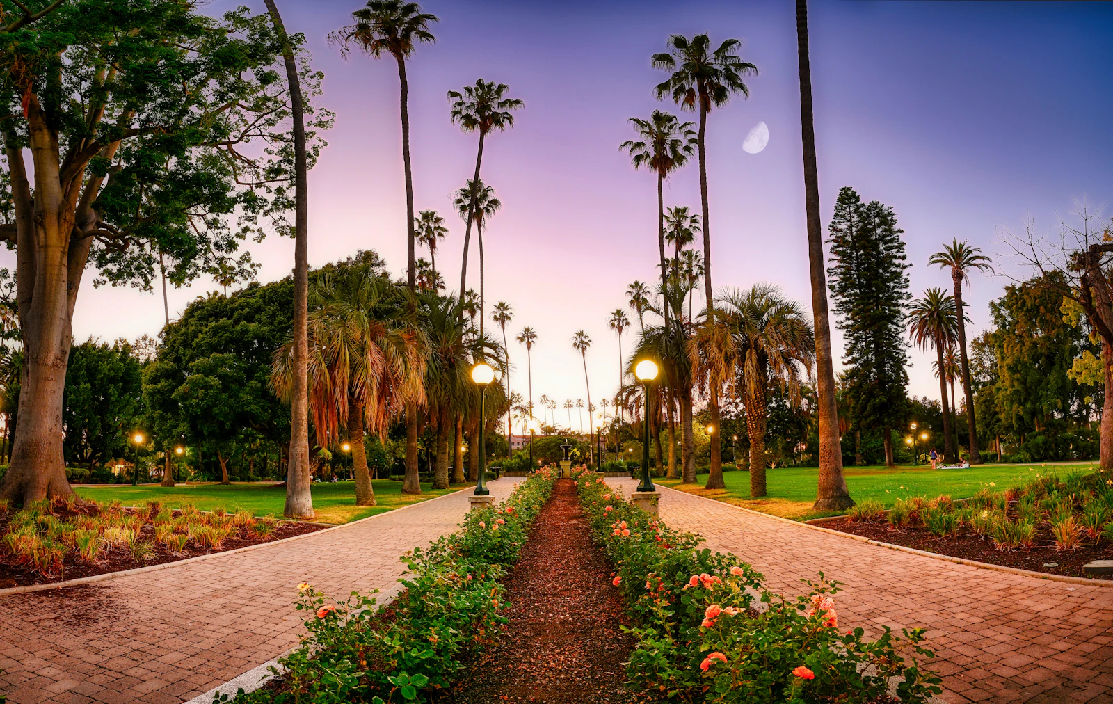 Beverly Hills, California photo 4 by Venti Views