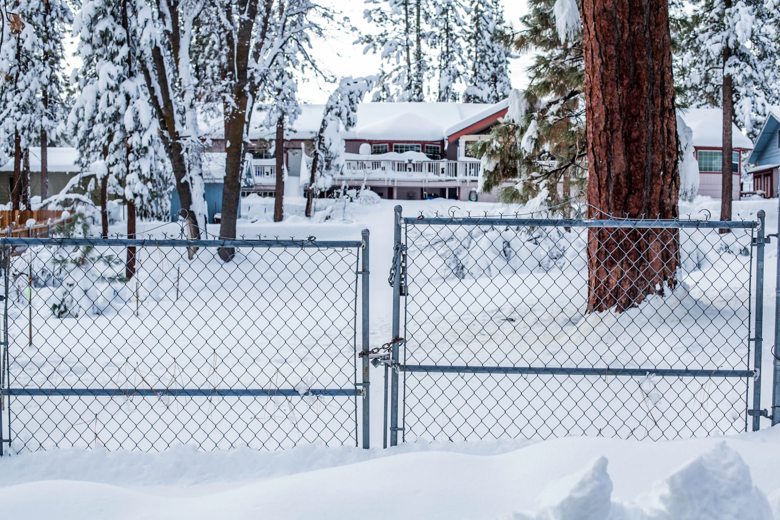 Big Bear Lake, California photo 24 by Kvnga