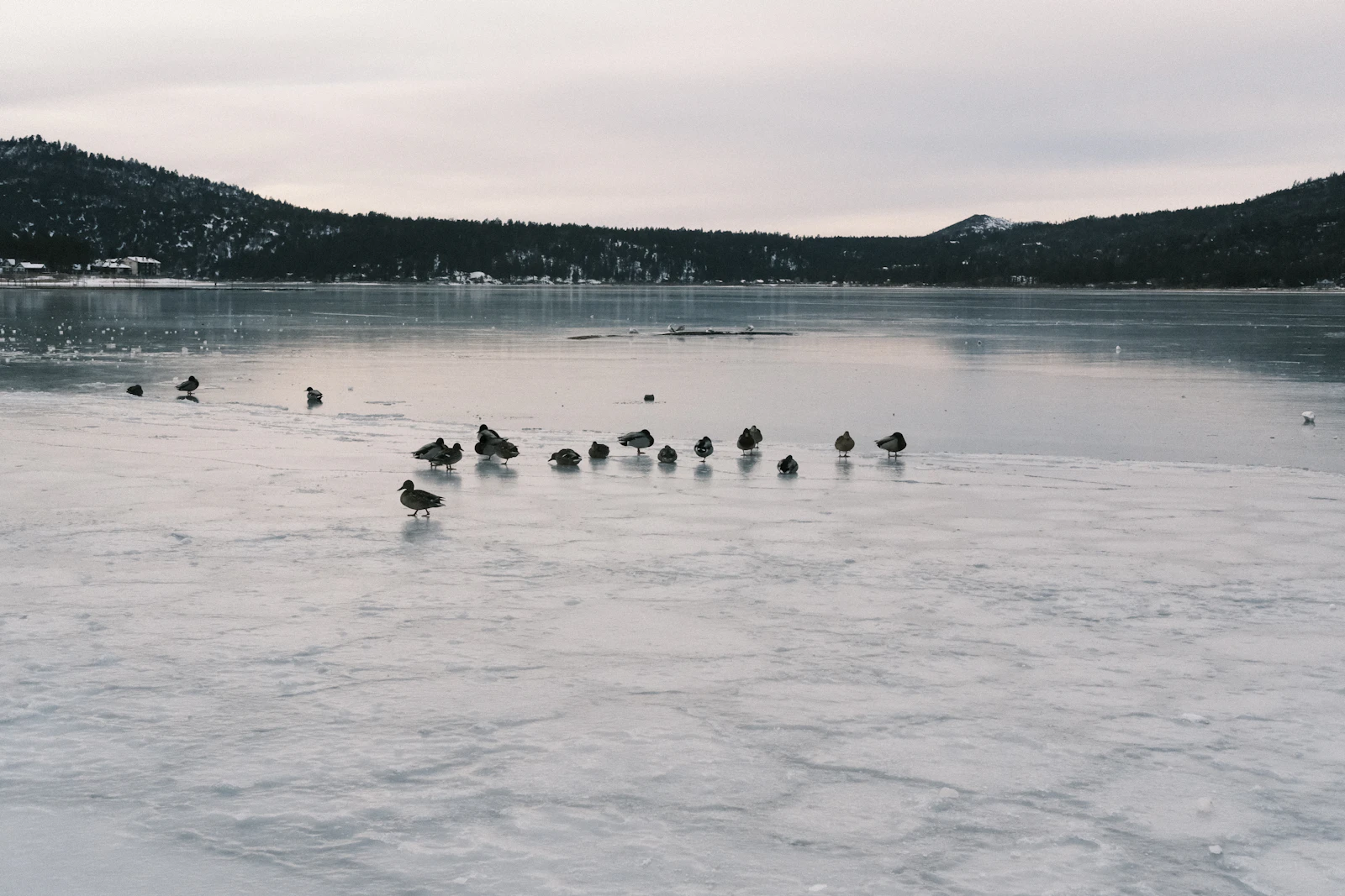 Big Bear Lake, California photo 14 by Carlos Gonzalez