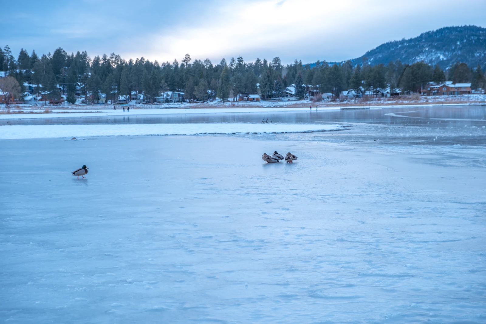 Big Bear Lake, California photo 27 by April Vasquez