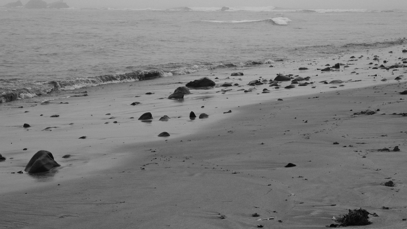 Half Moon Bay, California photo 27 by Jacob Mitani