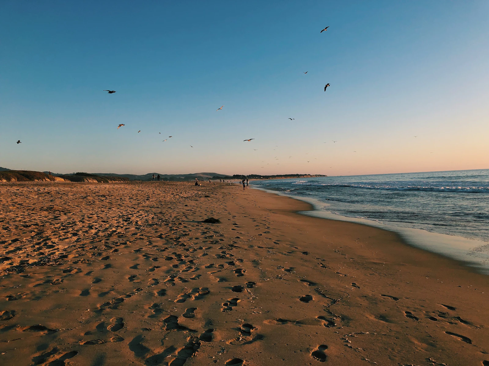 Half Moon Bay, California photo 20 by Pamela C.