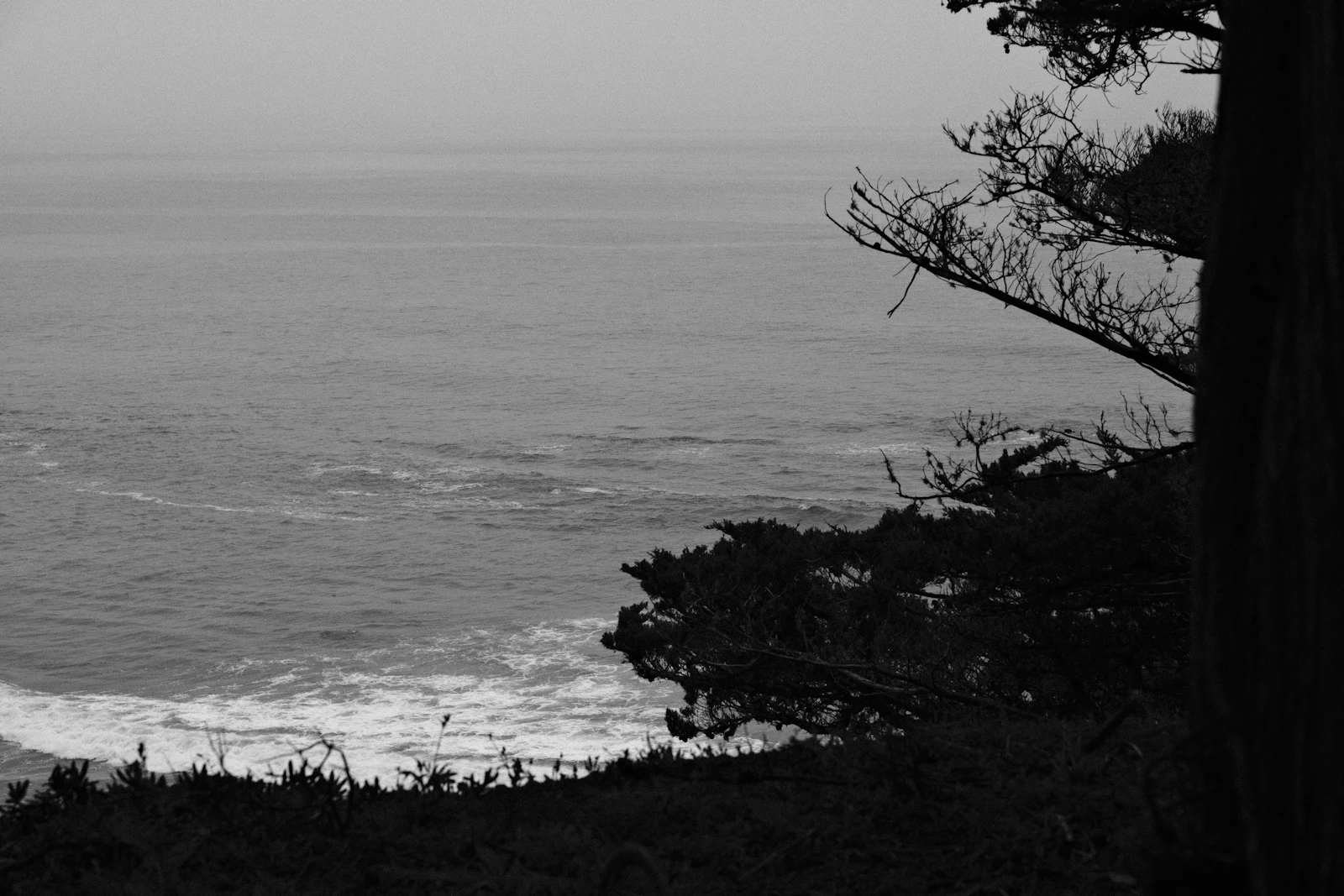 Half Moon Bay, California photo 12 by Jacob Mitani