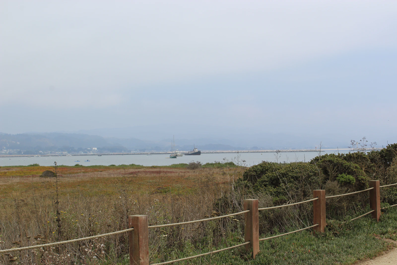 Half Moon Bay, California photo 26 by Blair Morris