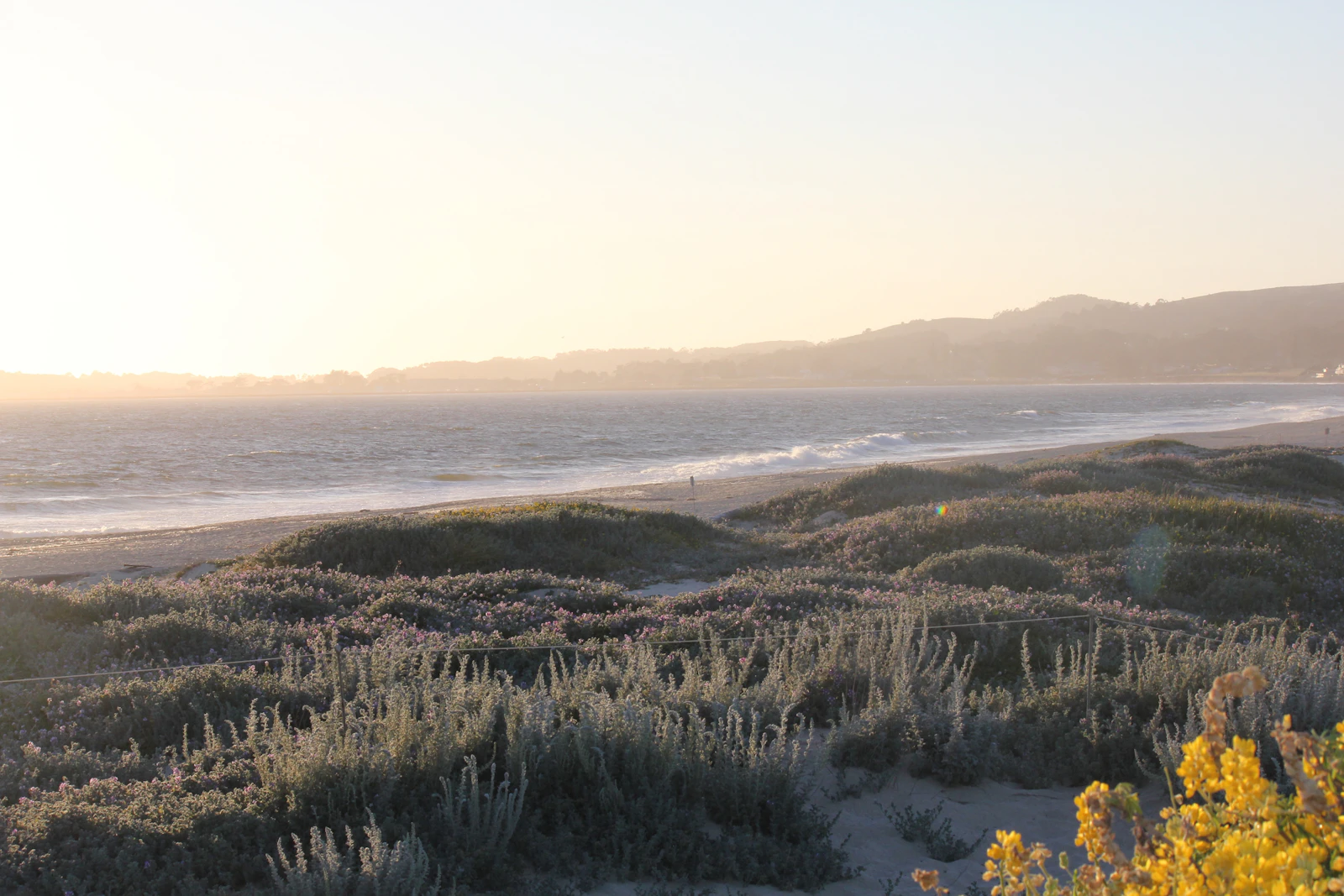 Half Moon Bay, California photo 17 by anish lakkapragada