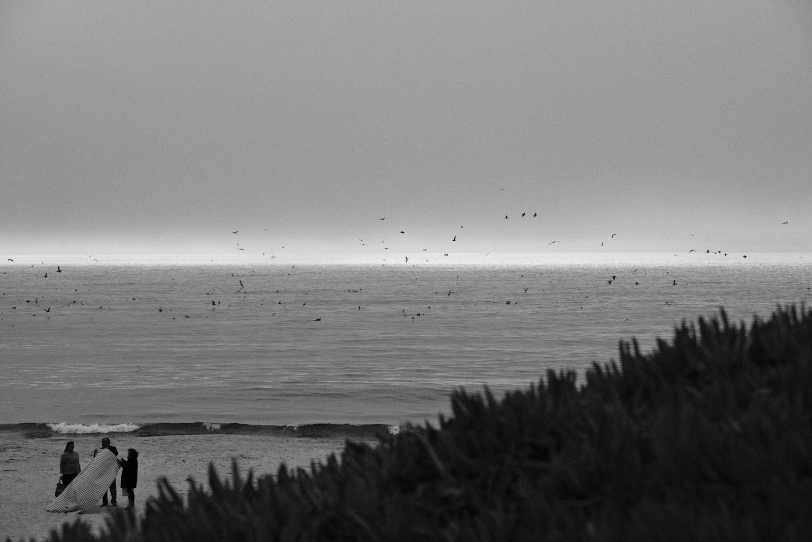 Half Moon Bay, California photo 28 by Jacob Mitani