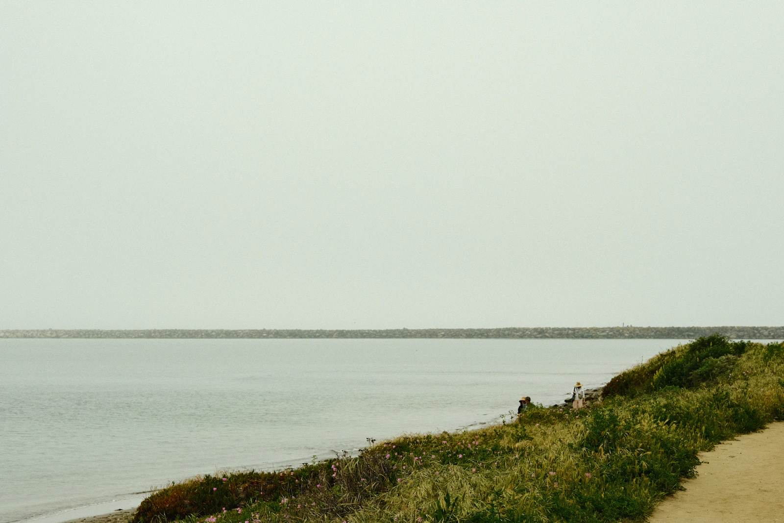 Half Moon Bay, California photo 29 by Jacob Mitani