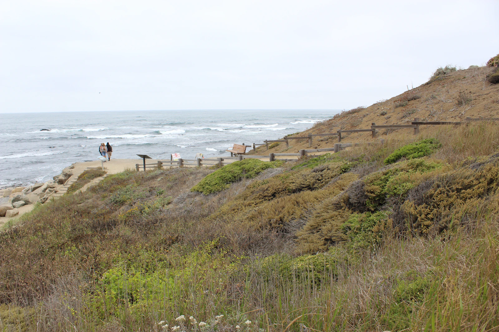 Half Moon Bay, California photo 9 by Blair Morris