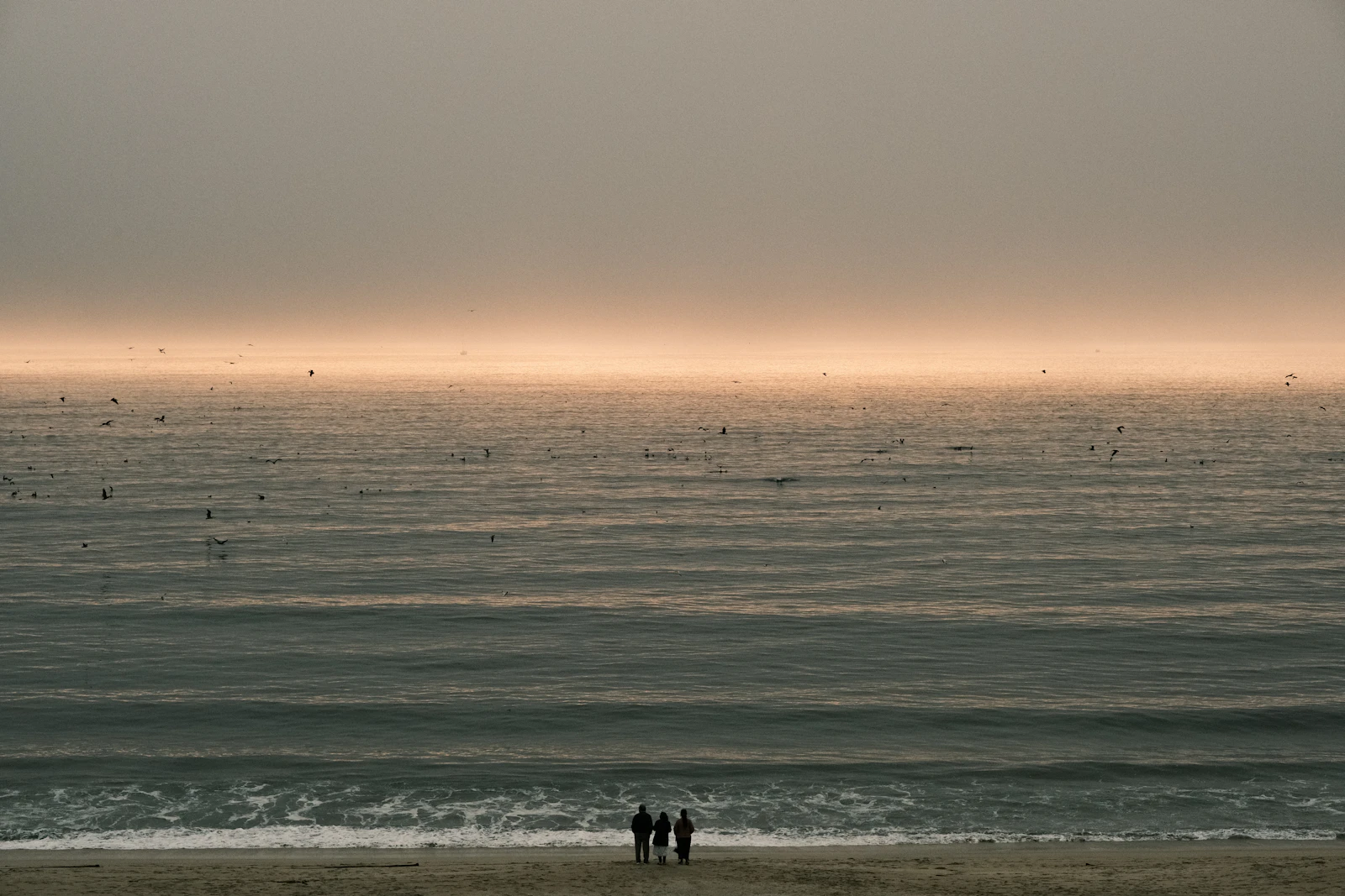 Half Moon Bay, California photo 23 by Jacob Mitani
